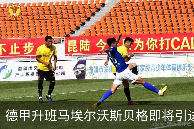 德甲升班马埃尔沃斯贝格即将引进法兰克福前锋富特克